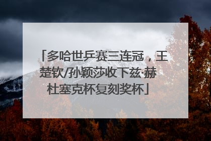 多哈世乒赛三连冠，王楚钦/孙颖莎收下兹·赫杜塞克杯复刻奖杯